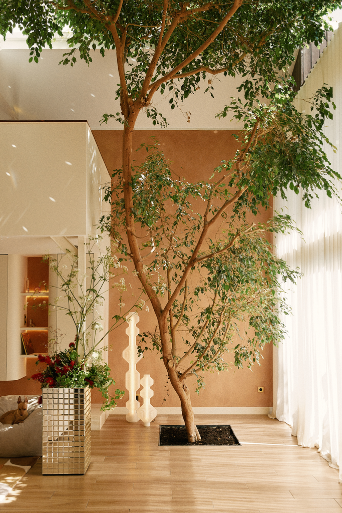 Un grand arbre intérieur avec branches s'étendant dans une maison moderne, entouré de plantes et de décorations élégantes.