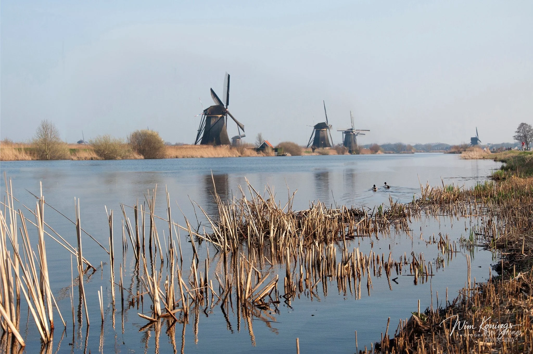 Kinderdijk 2s-3648B.jpg