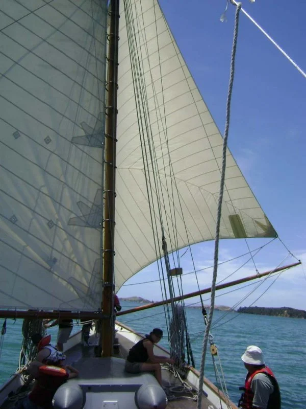 DSC03102.jpg