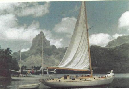 Tangaroa at Robinson Cove Moorea.
