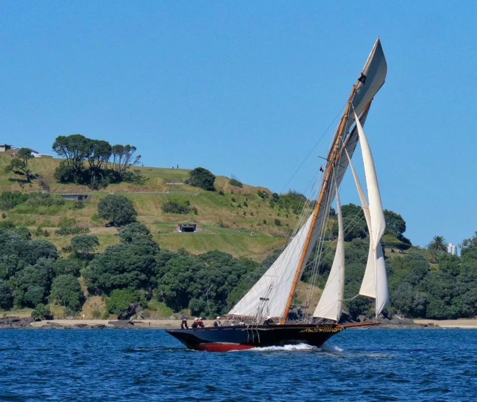 Waitangi by Roger Mills.