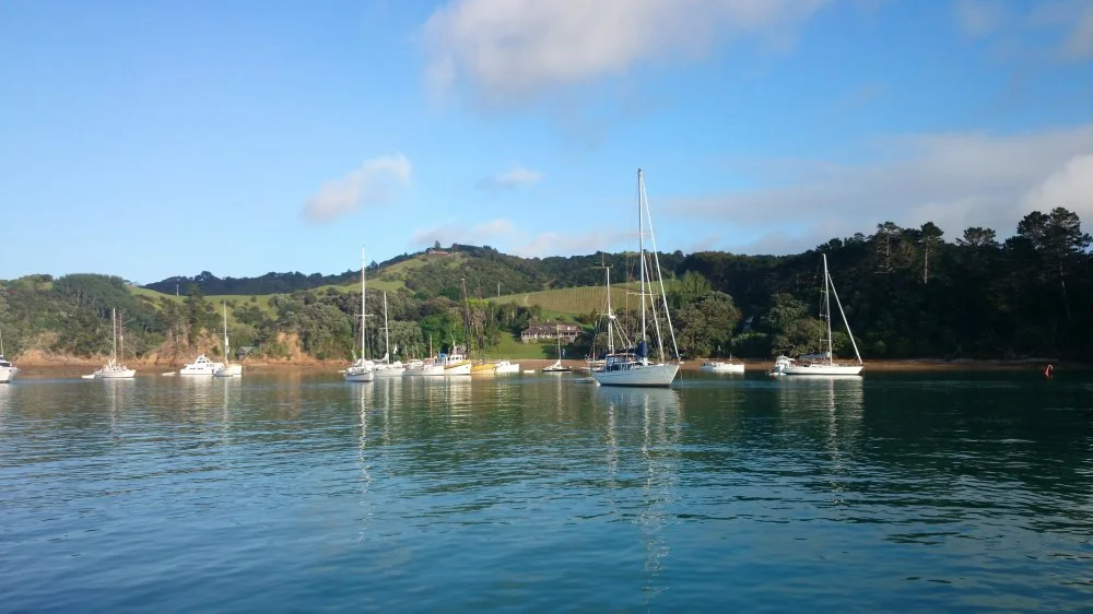 Morning tranquillity.