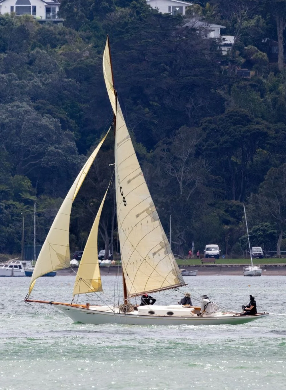 A sailboat with cream-colored sails on the water, with three people on board and a background of trees, houses, and parked cars along the shoreline.
