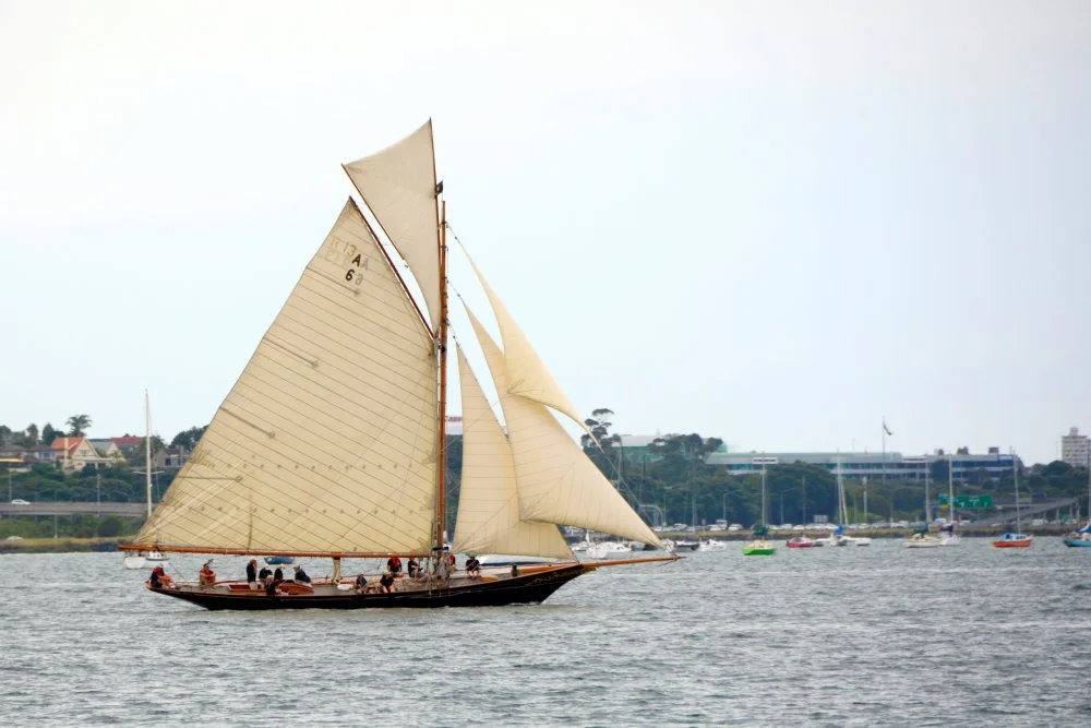 Race 1 start. 