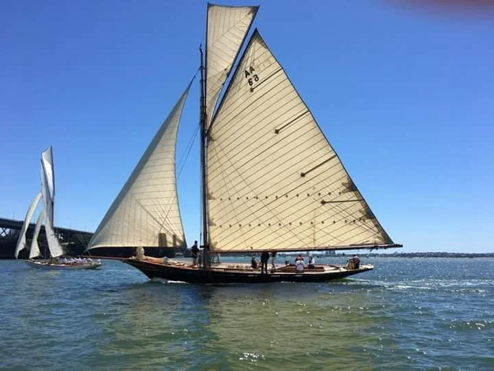 CYA Trillion Trust Regatta