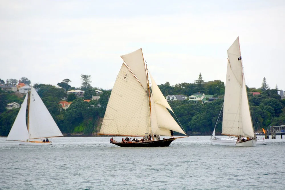 Race 1 start. 