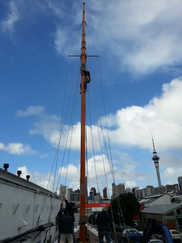 Is that a Koala coming down the mast?