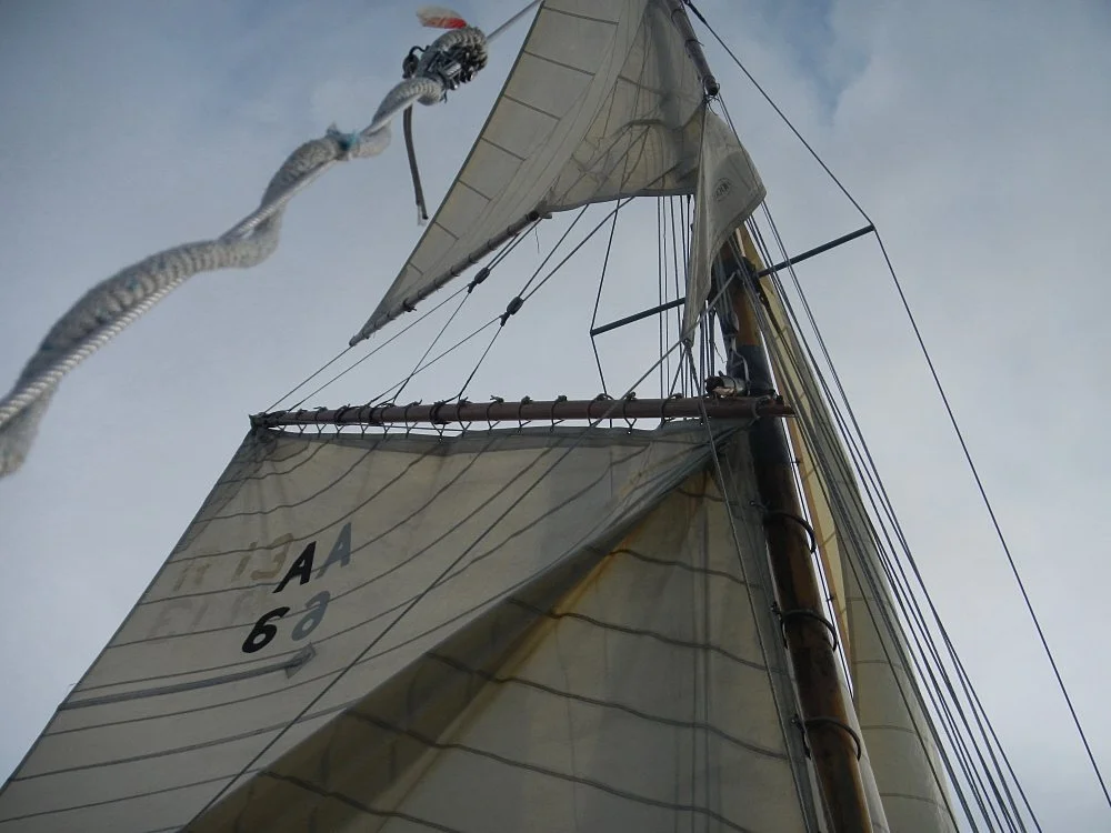 The gaff gives way on the run back to Auckland from Motuihe.