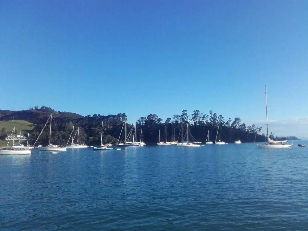 The classic bay. 