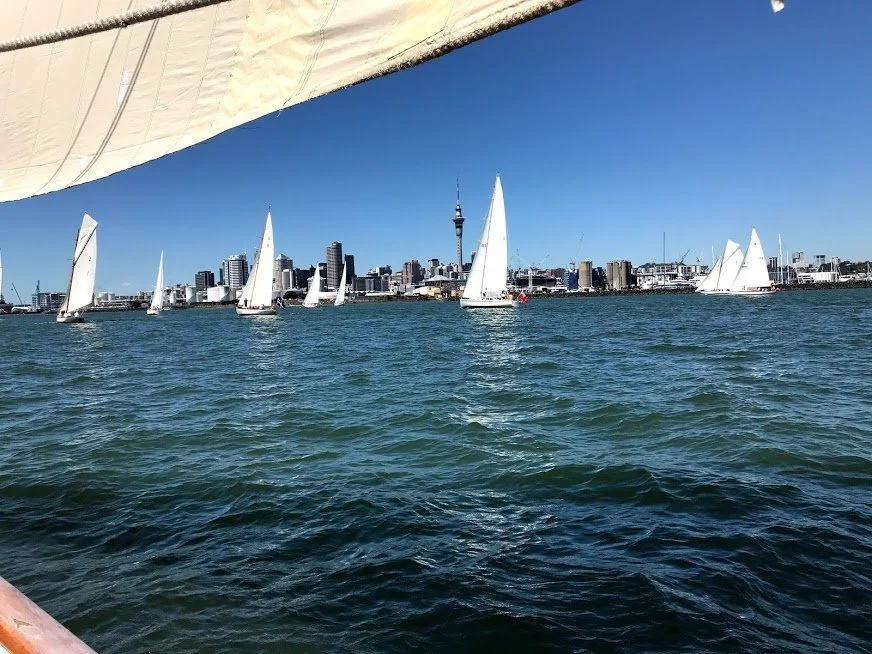 Part of the impressive fleet for the regatta.