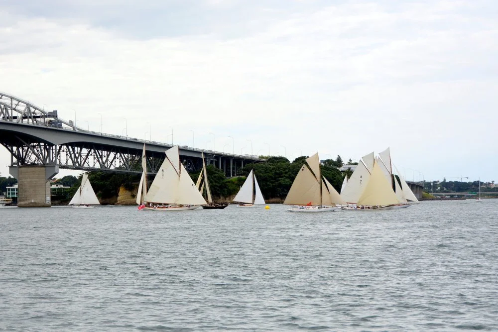 Race 1 start. 