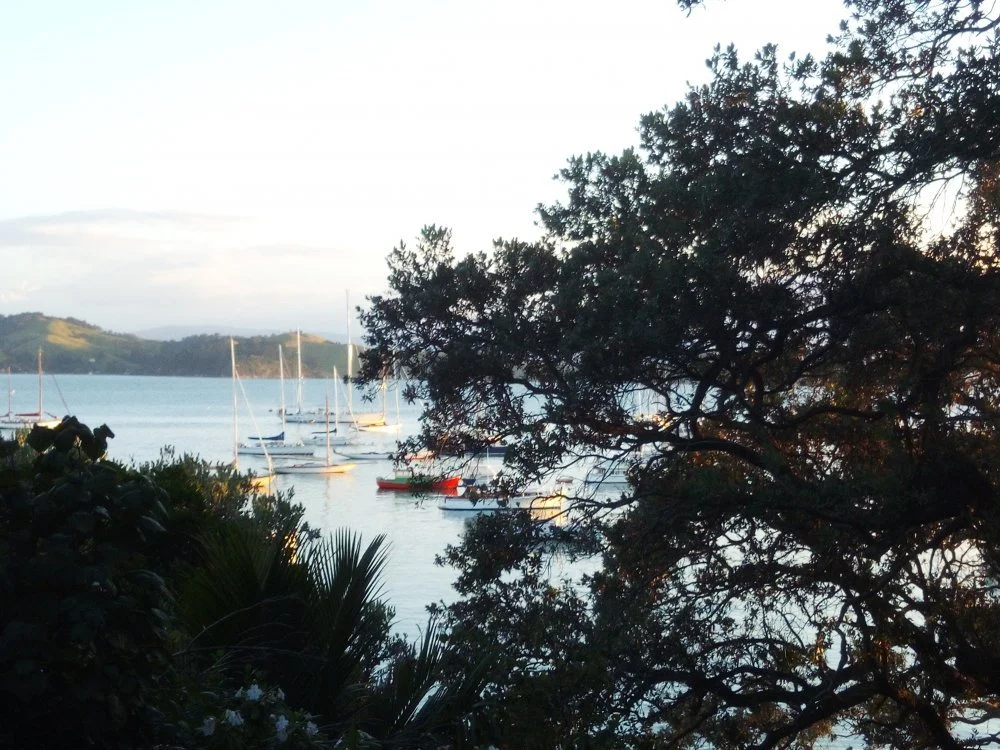 View from the Woolcott Bach.