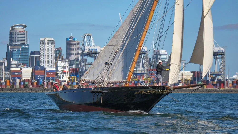 Waitangi by Roger Mills.