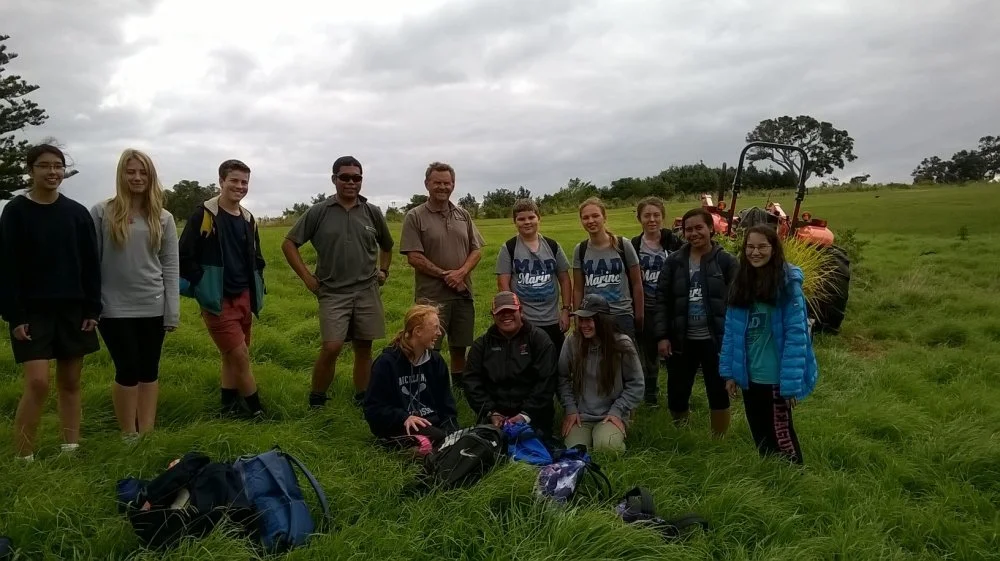 Planting cabbage trees on Motuihe Island.