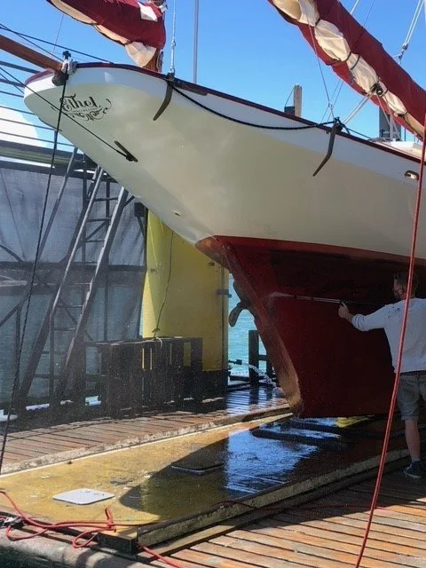Wash day on the floating dock Westhaven January 2022.