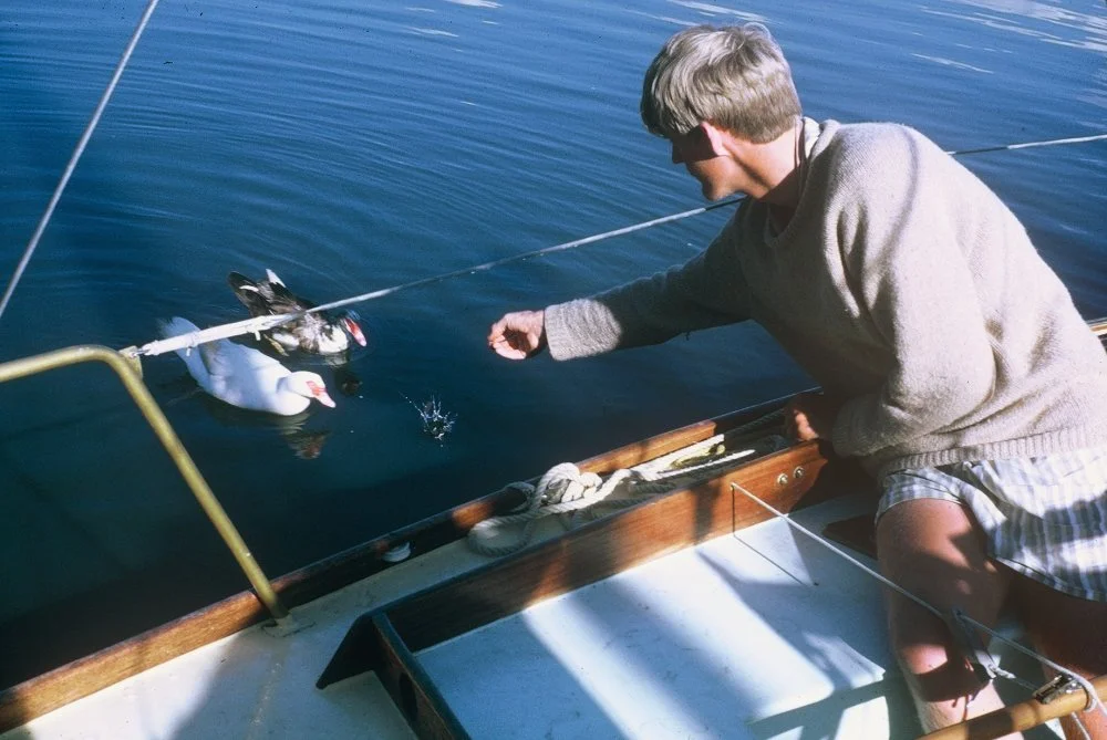 Peter feeding ducks.