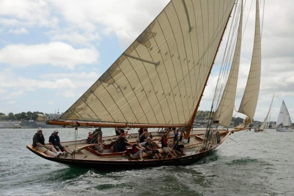 Waitangi relaxed. 
