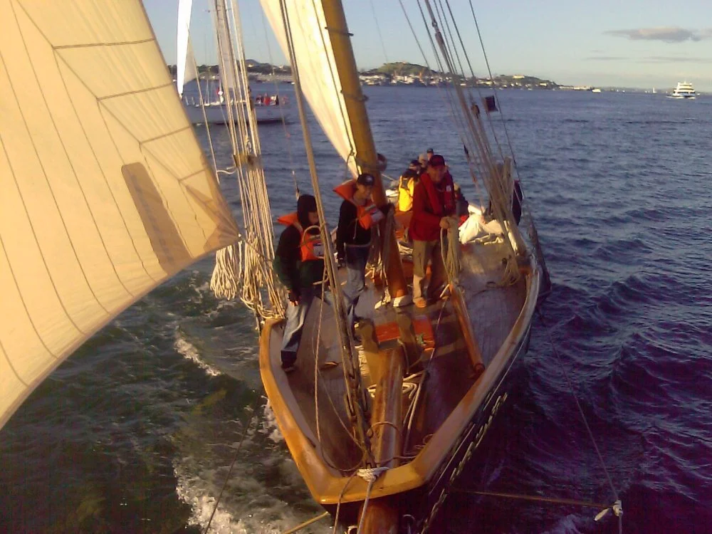 IMAG0554.jpg