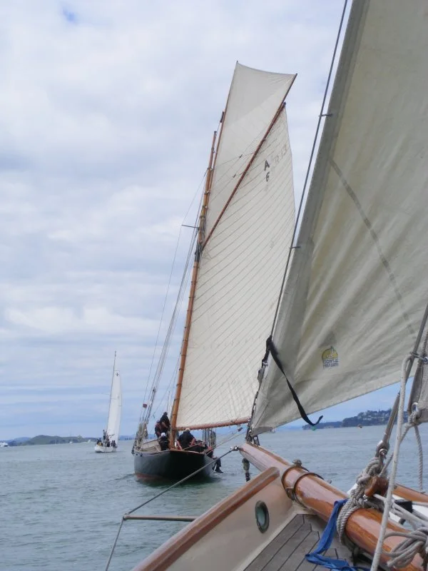 DSCF1535.jpg