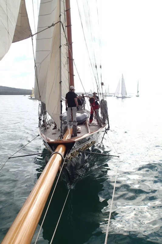 Round_Rangitoto_2011_02.jpg