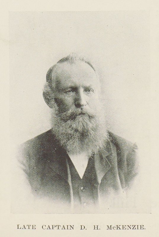 D H McKenzie