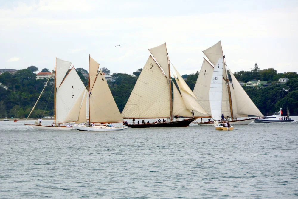 CYA ABD Group Regatta