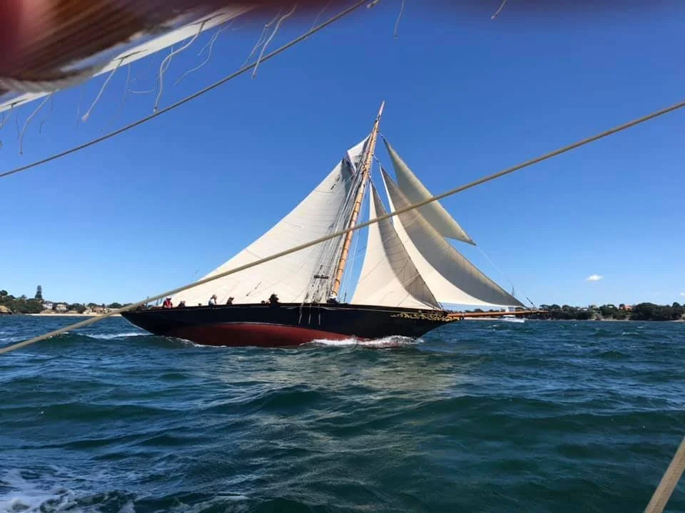 Waitangi from Rainbow.