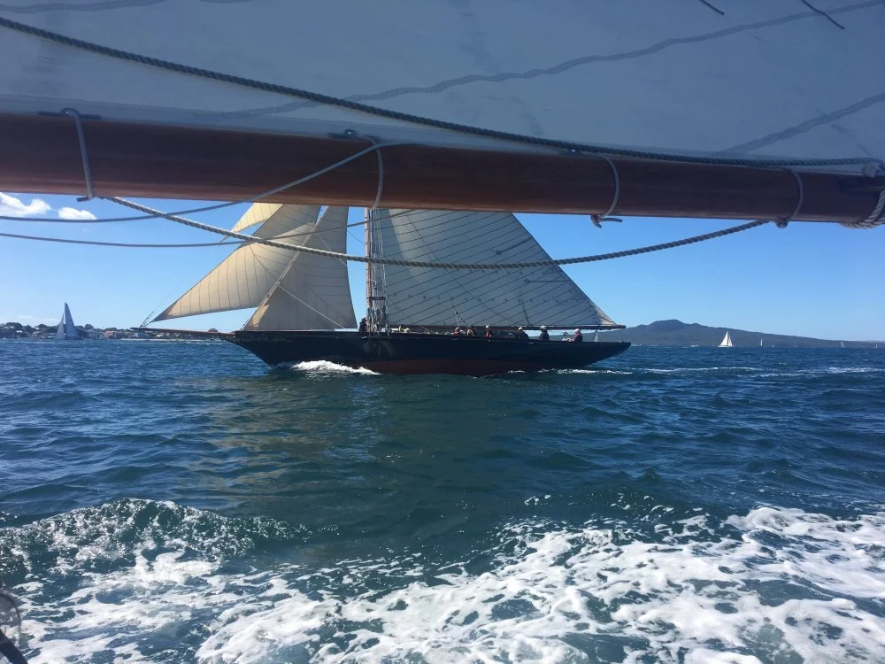 Waitangi from Ngatira.