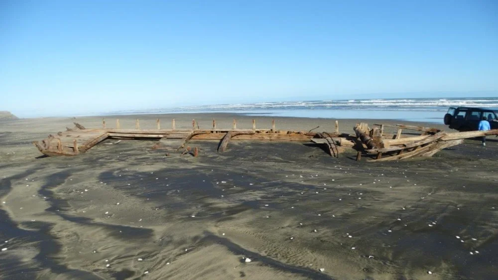 A large piece of driftwood on a sandy beach with ocean waves in the background and a vehicle parked to the right.