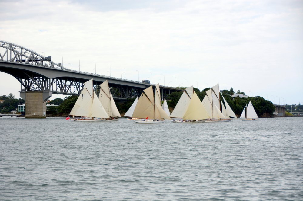 Race 1 start. 