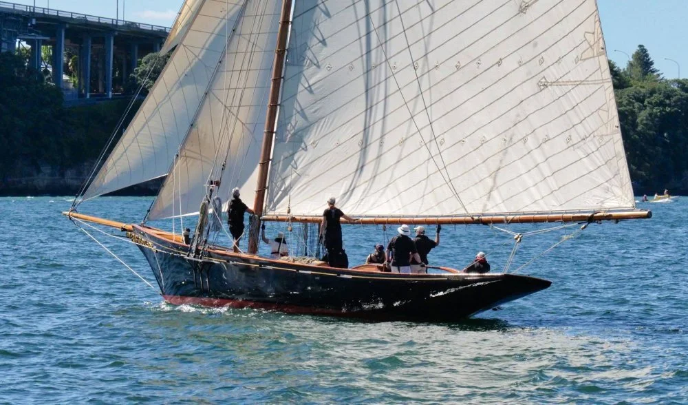 Waitangi by Roger Mills.