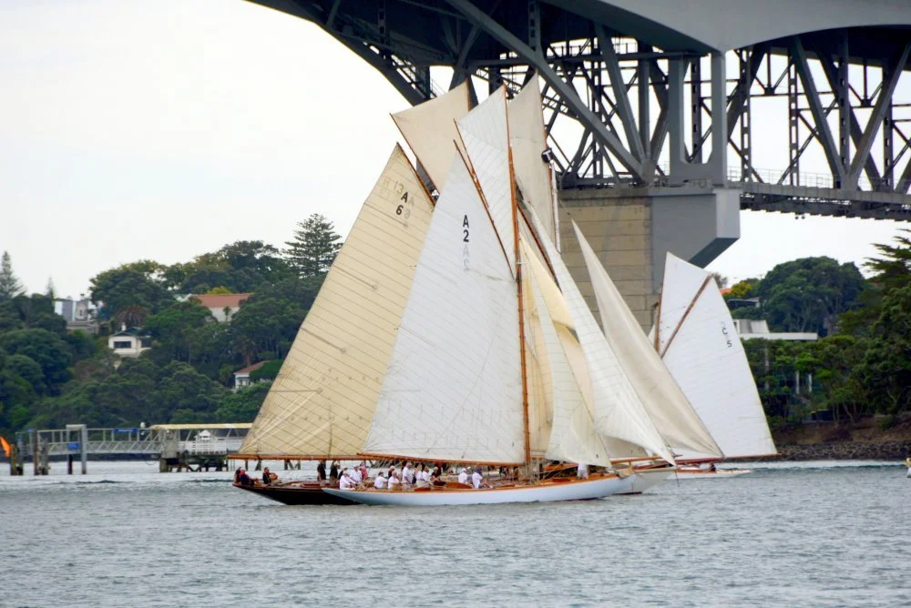 Race 1 start. 
