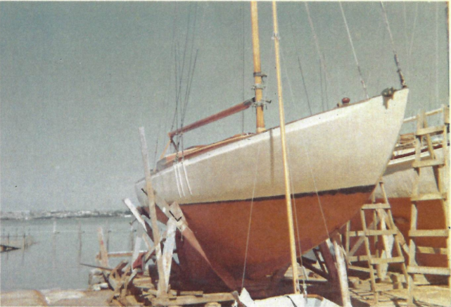 Tangaroa at Bayswater Hardstand 1961.