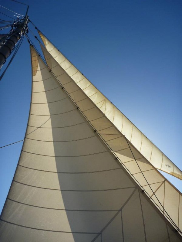 3 headsails on Waitangi.