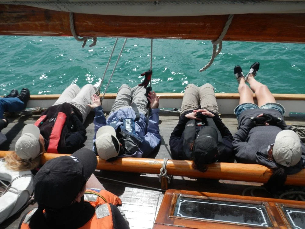 Relaxed sailing on the Motuihe Island cruising day