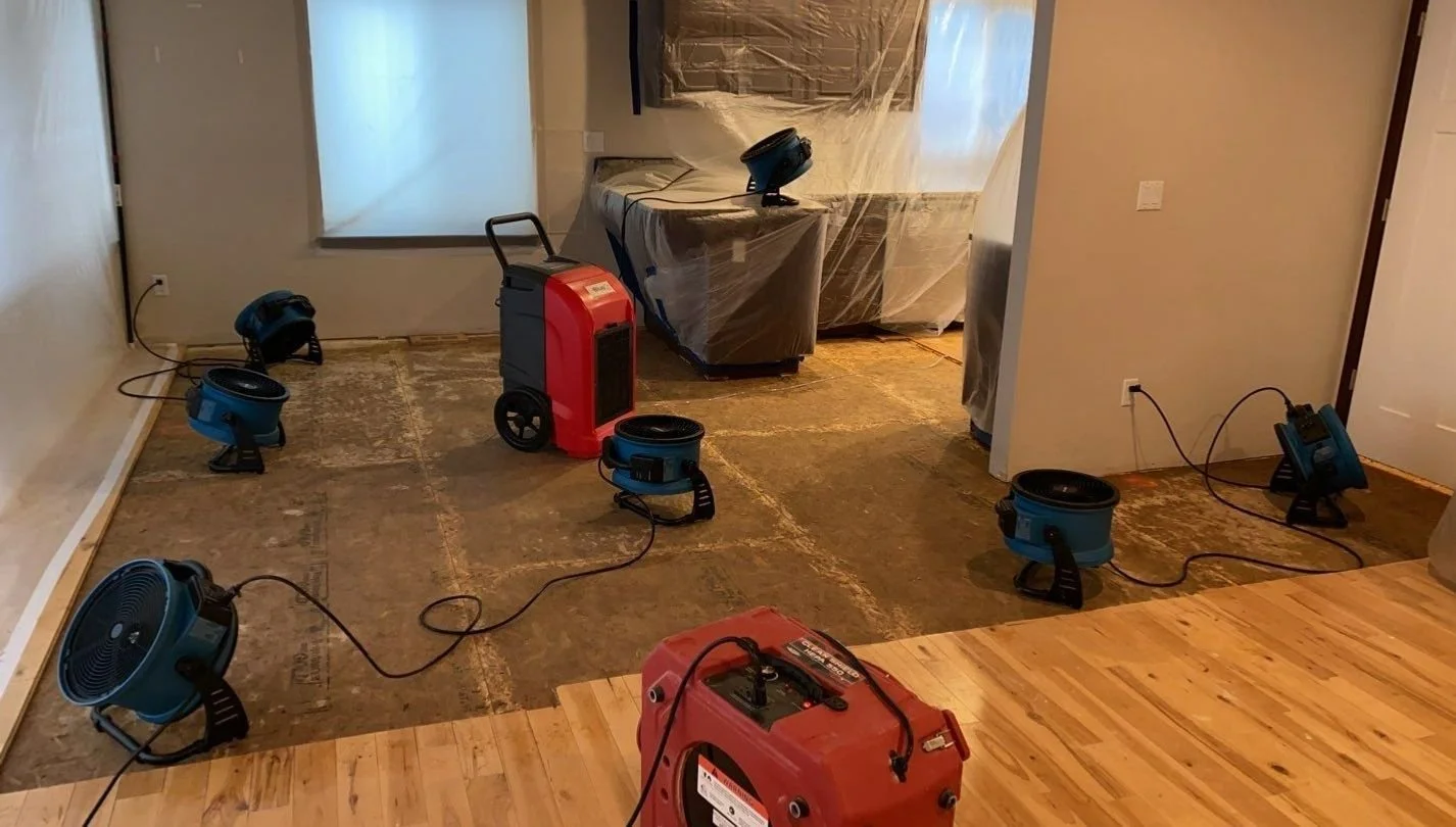 Water-damage-removal-near-me