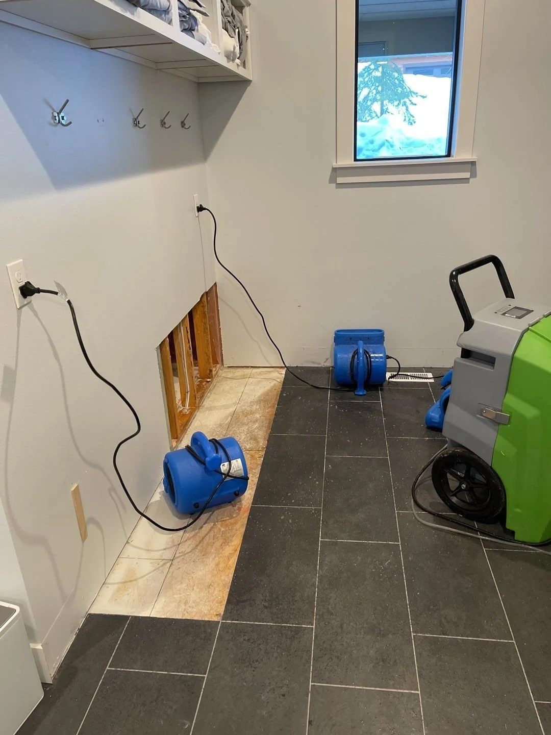 Water removal services