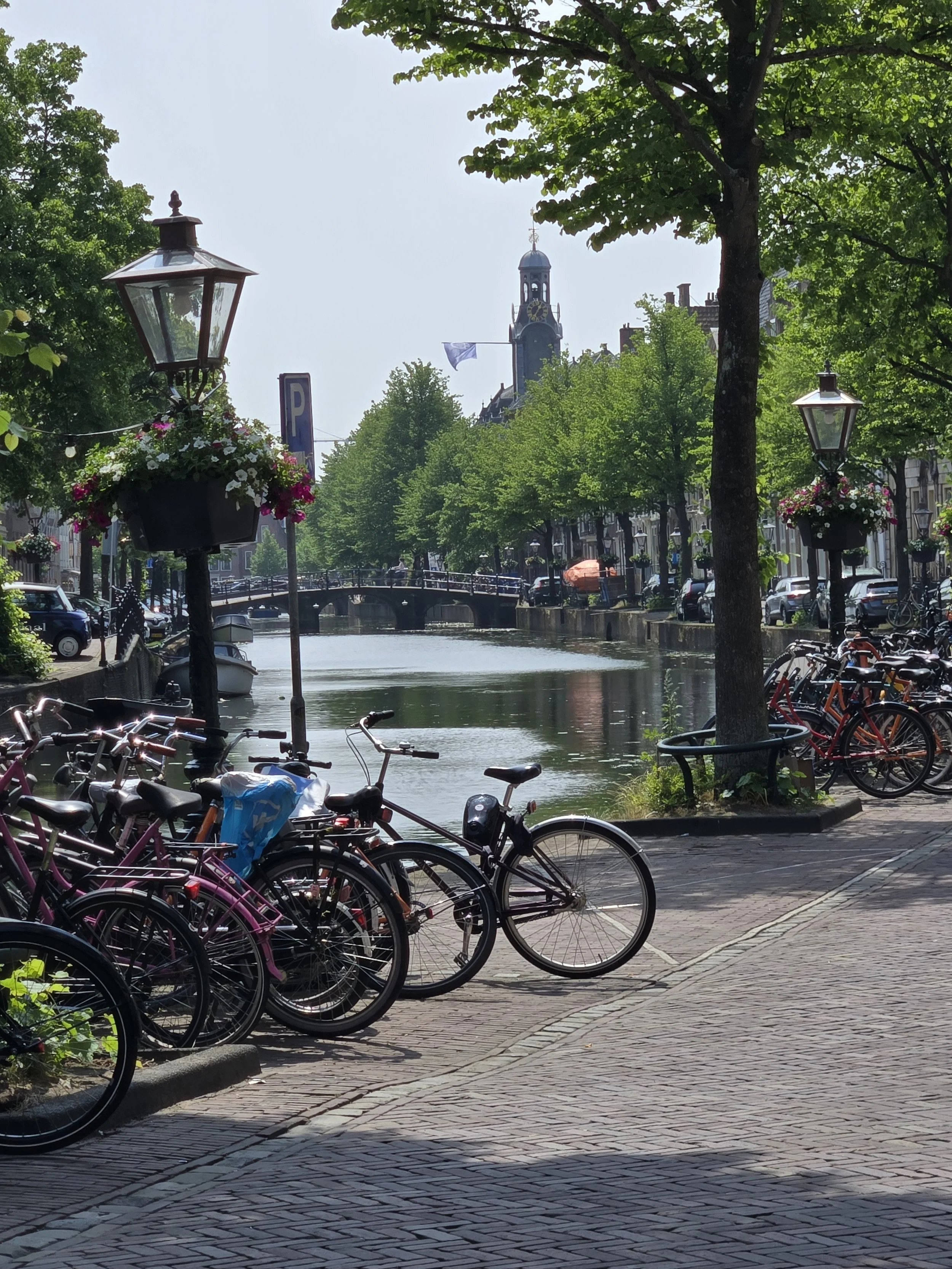 Rapenburg canal in Leiden