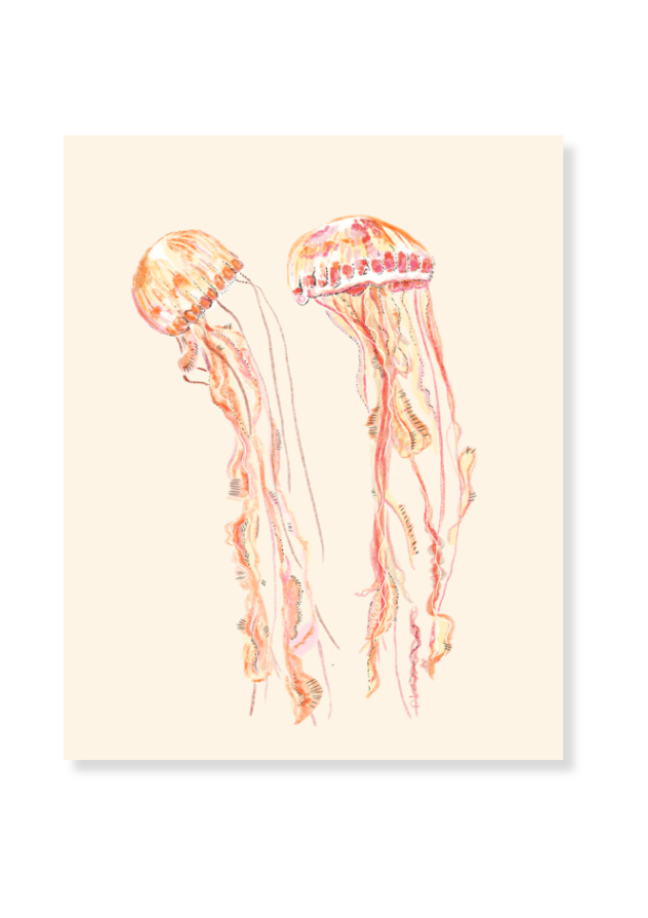 Lámina “Danza de Medusas”
