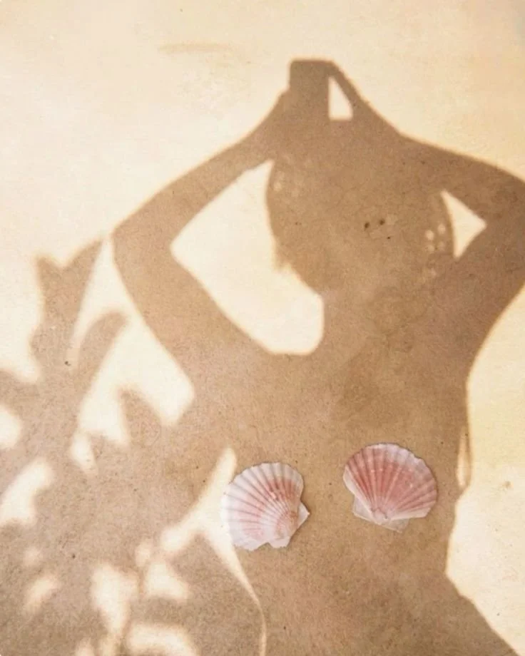 A shadow of a woman taking a photo with her phone cast on a wall, with two pink seashells placed below her shadow.