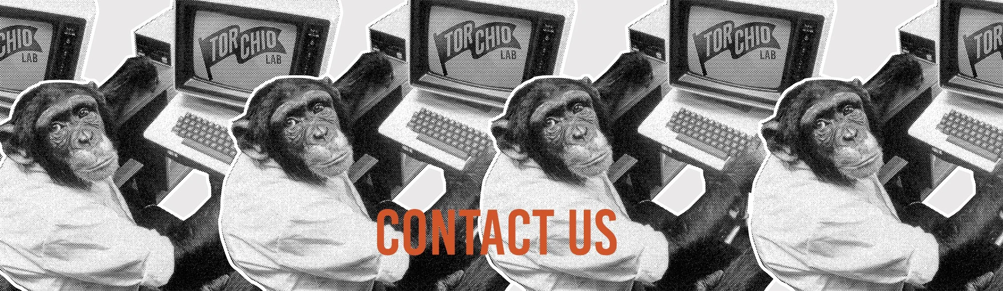 Immagine di due scimmie in un ambiente con computer, con la scritta 'Contact Us' in sovraimpressione.