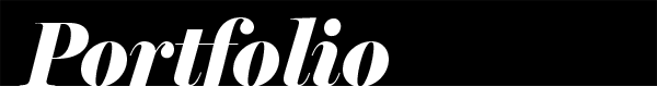 Portfolio button link
