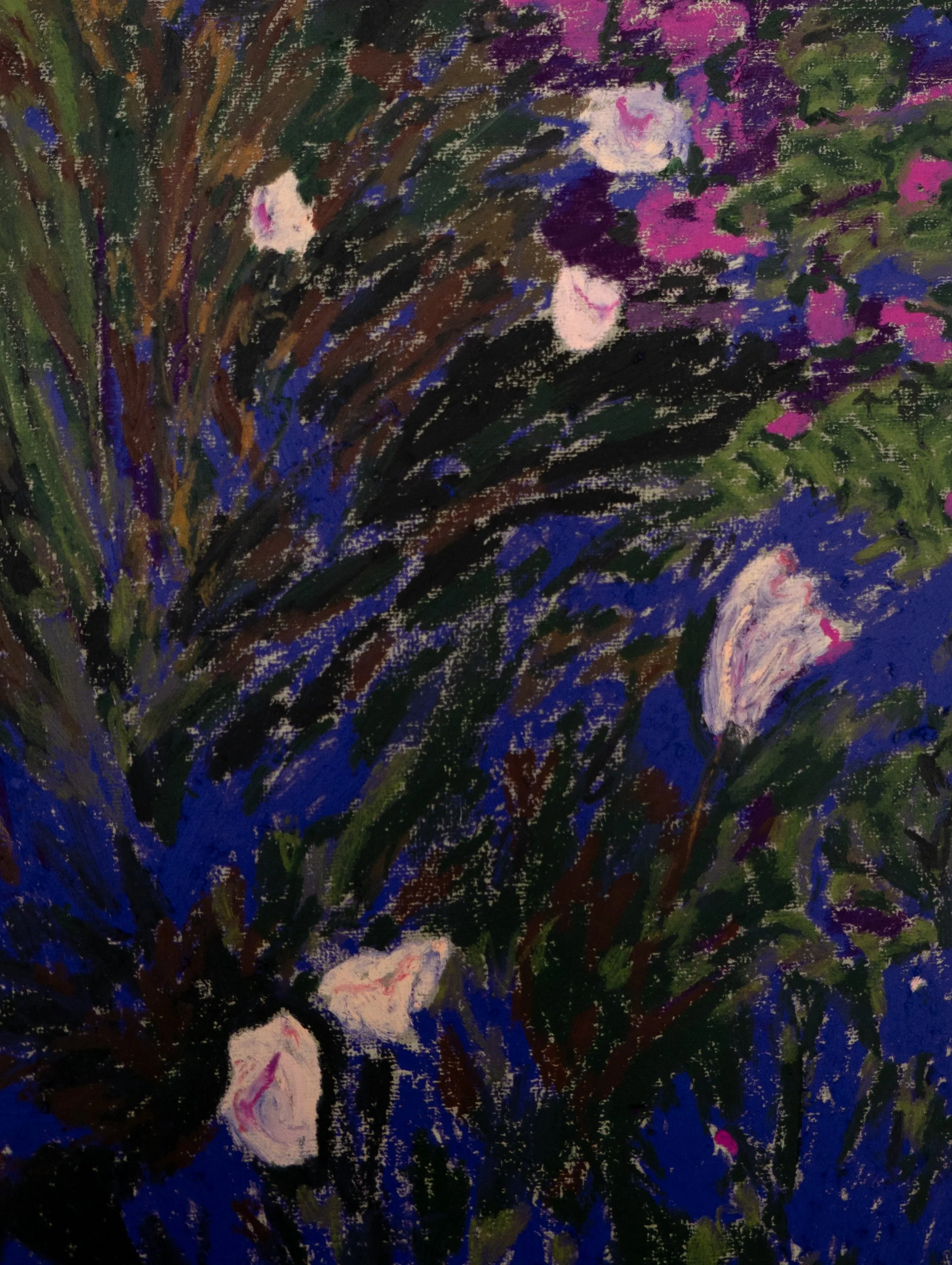 Night flora