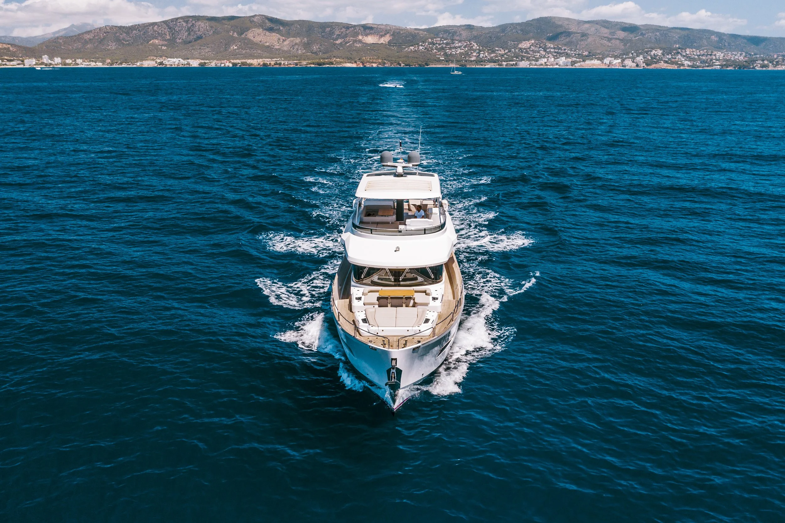 Salacia_Dron_13.jpg
