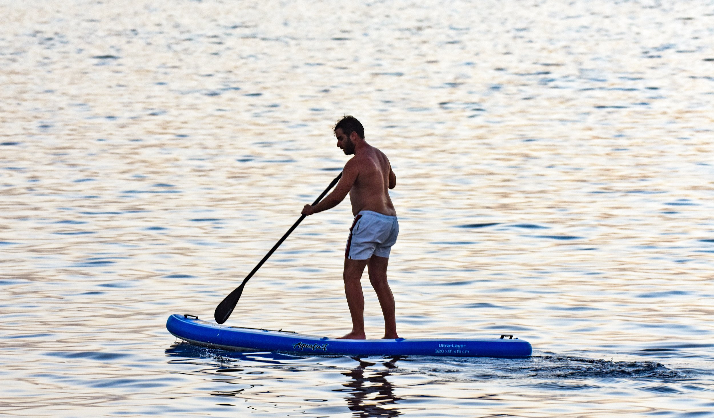 DSC_0290.jpg