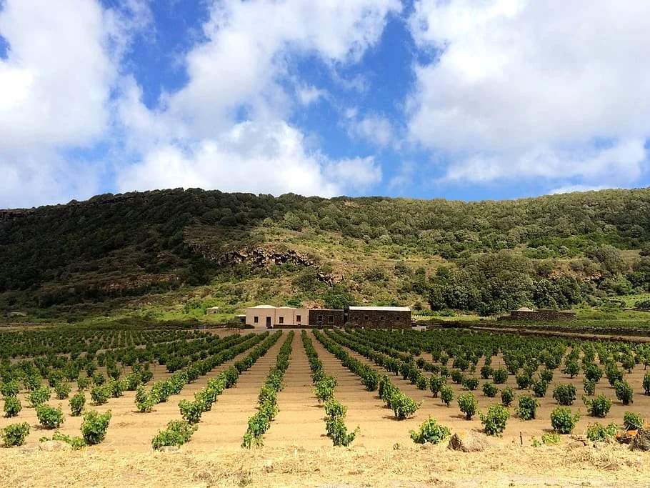 pantelleria-italy-plain-ghirlanda.jpeg