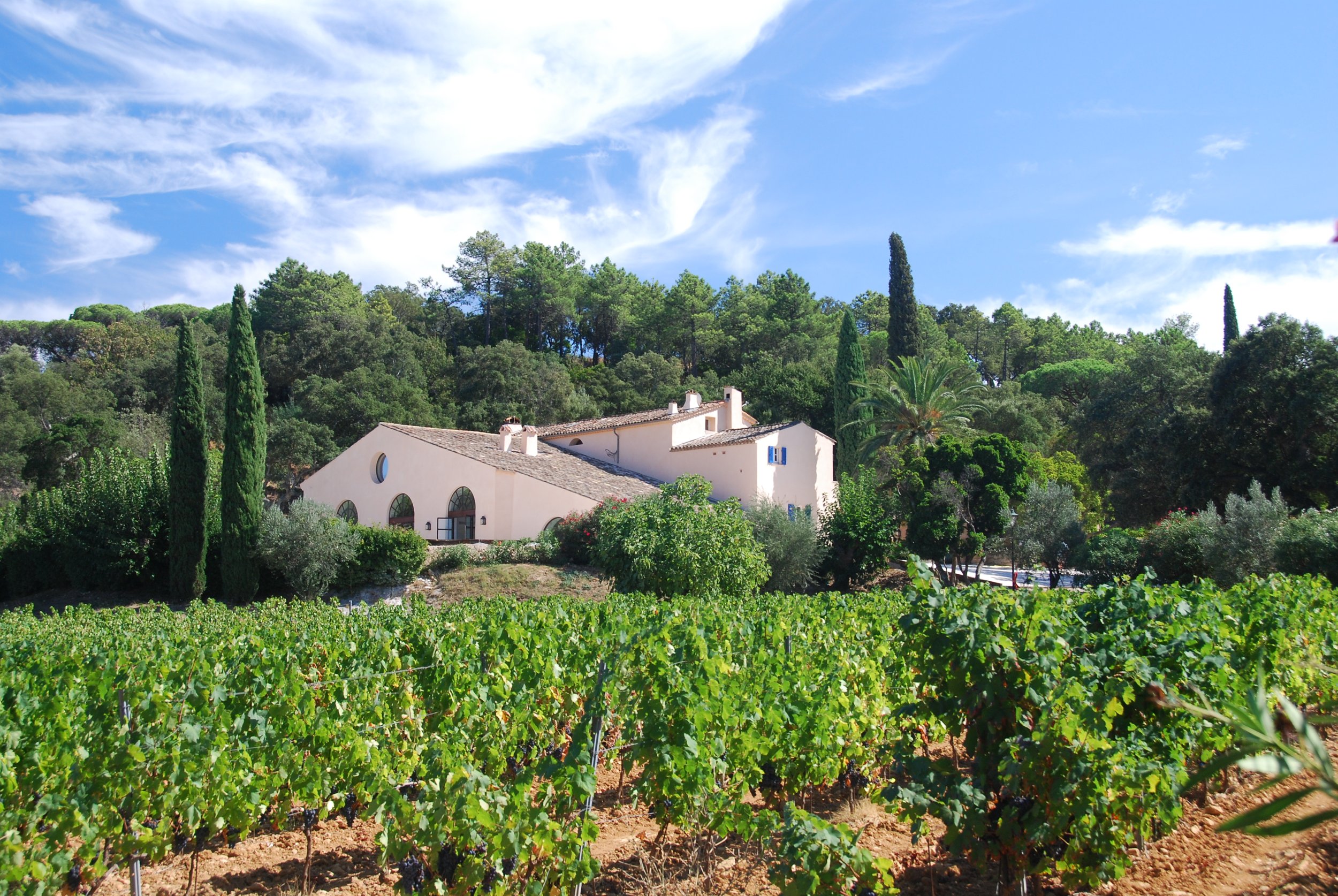 Vignes_Saint_Tropez.jpeg