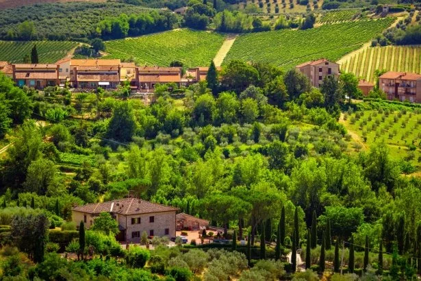 tuscany-landscape-16224504026bo.jpeg