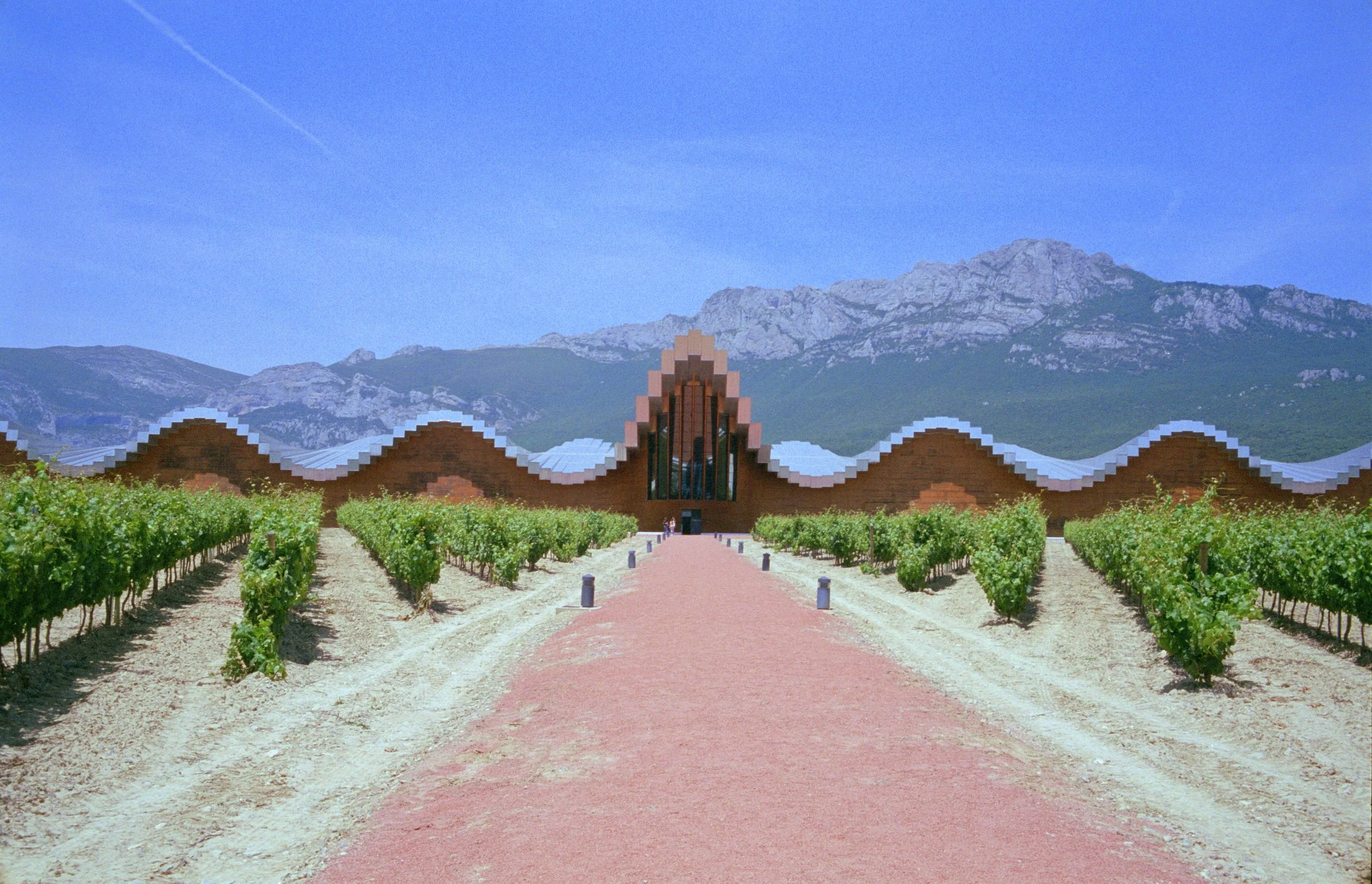 Vignoble_des_Bodegas_Ysios_Rioja.jpeg
