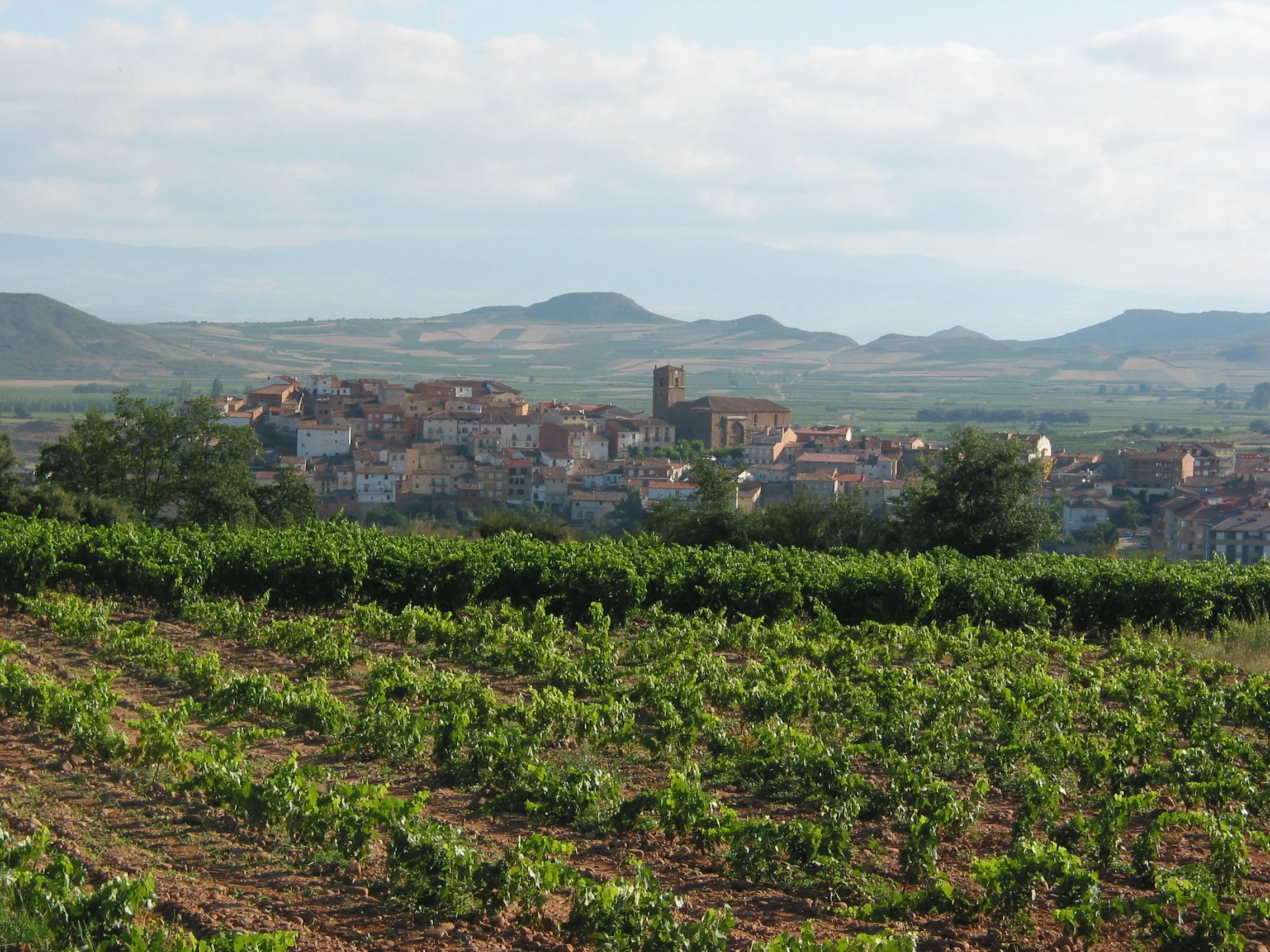 Entrena_(La_Rioja).jpeg